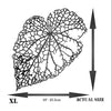 Leaf Skeleton Stencil (2pc) - Layer Dry Skeleton Leaf Art