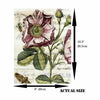 Botanical Theme Rice Paper- 6 x Different Printed Mulberry Paper Images 30gsm