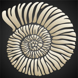 Fossil Shell Stencil - Jurassic Nautilus Shell Ammonite Fossil