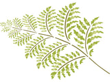 Fern Stencil - Classic Large Leaves Lady Ferns